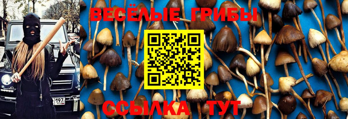 Псилоцибиновые грибы MAGIC MUSHROOMS  Вход с VPN  Великий Устюг 