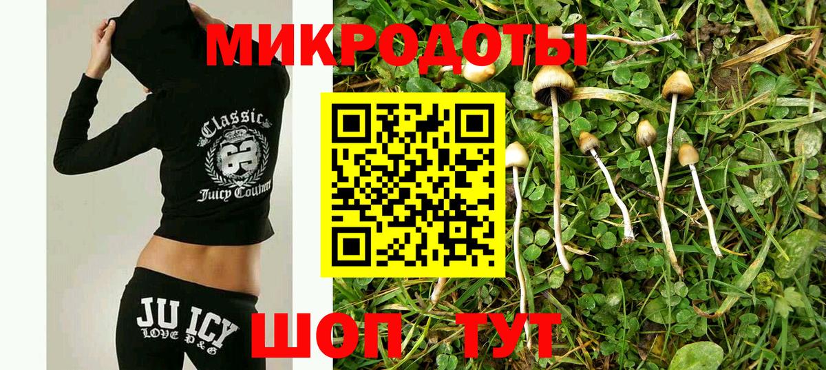 Псилоцибиновые грибы ЛСД Великий Устюг